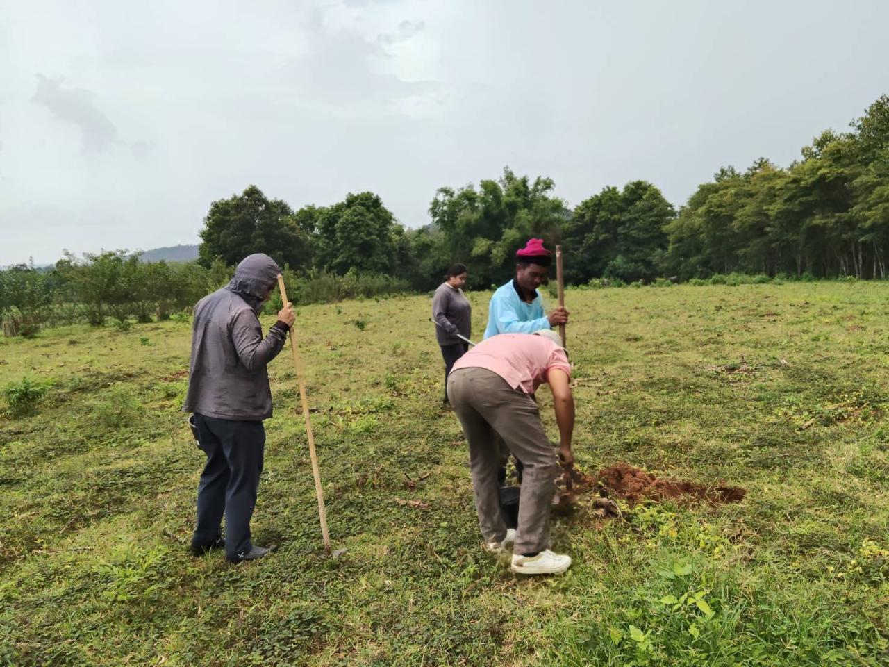 ภาพประกอบที่ 1