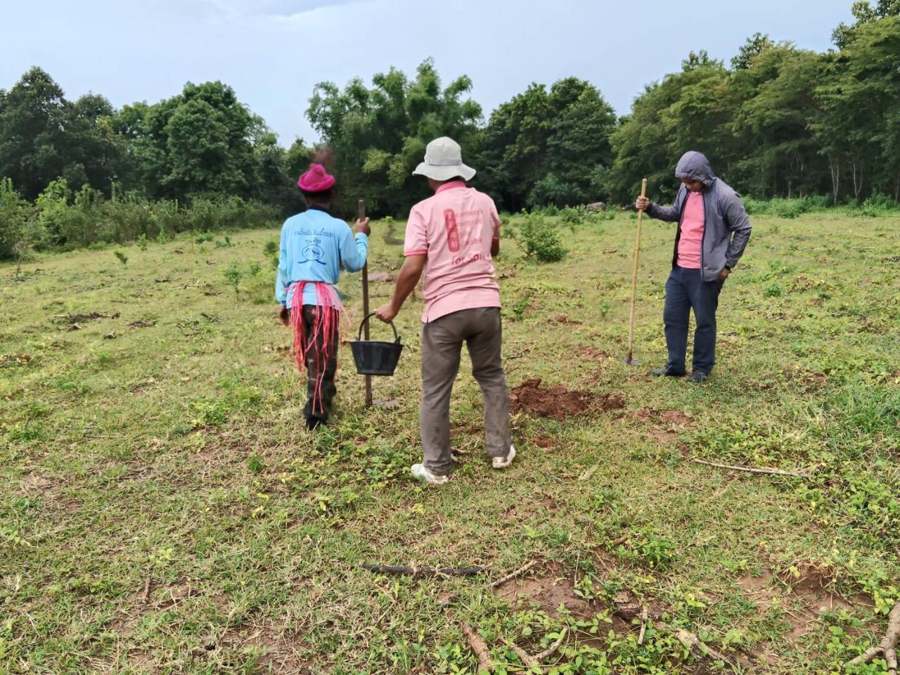 ภาพประกอบที่ 2
