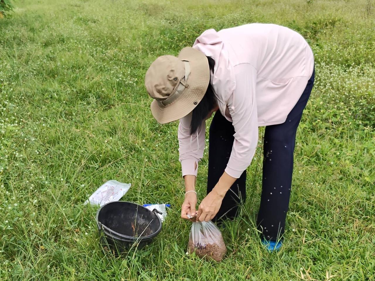 ภาพประกอบที่ 4
