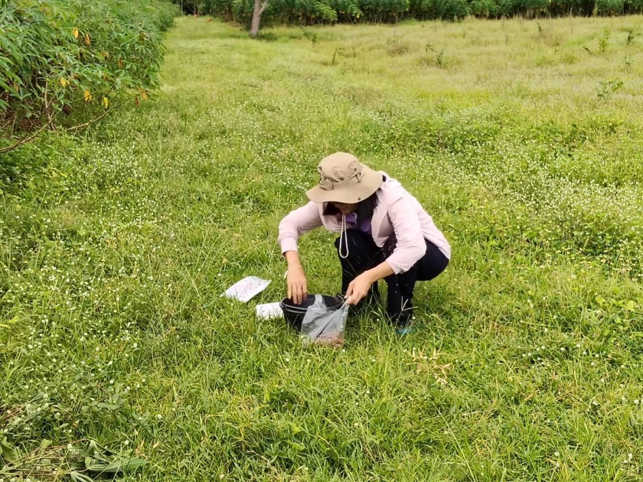 ภาพประกอบที่ 5