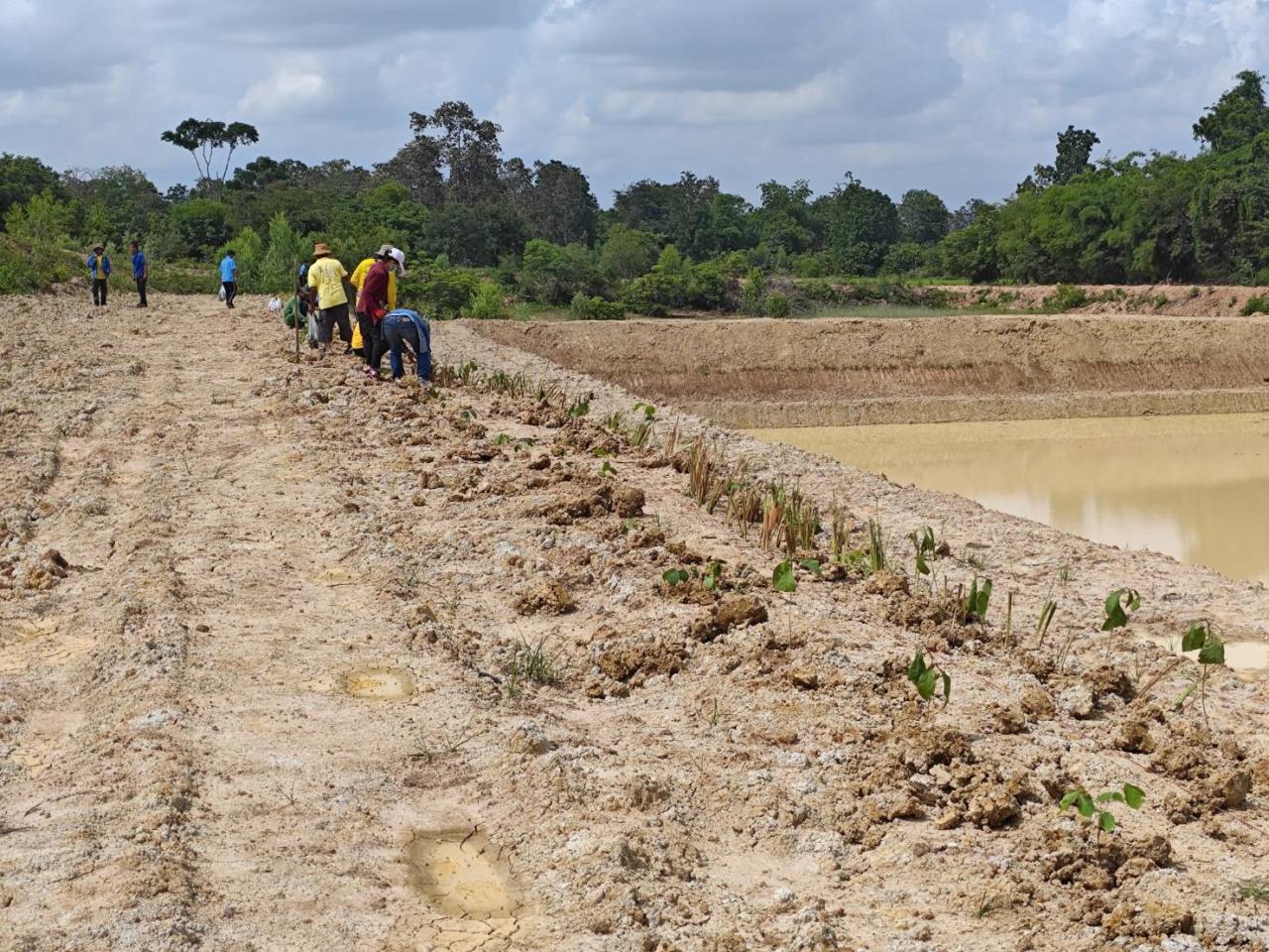 ภาพประกอบที่ 4