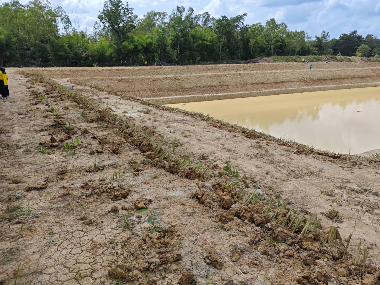 ภาพประกอบที่ 6