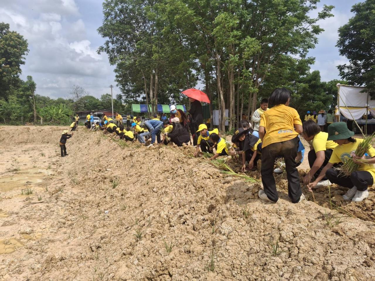 ภาพประกอบที่ 7