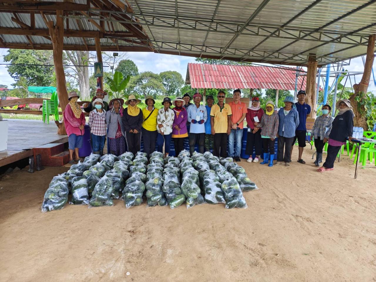 ภาพประกอบที่ 12