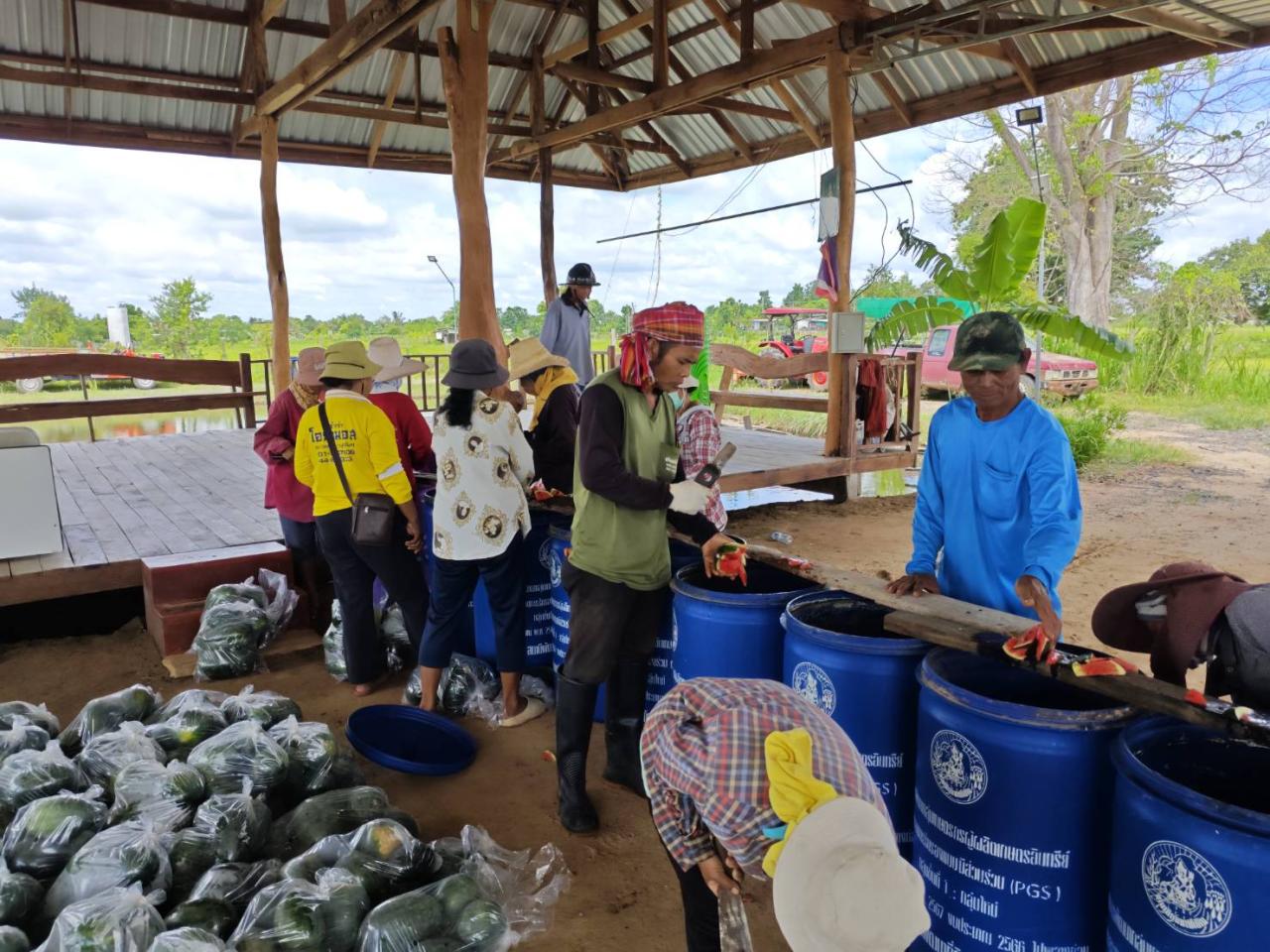 ภาพประกอบที่ 16
