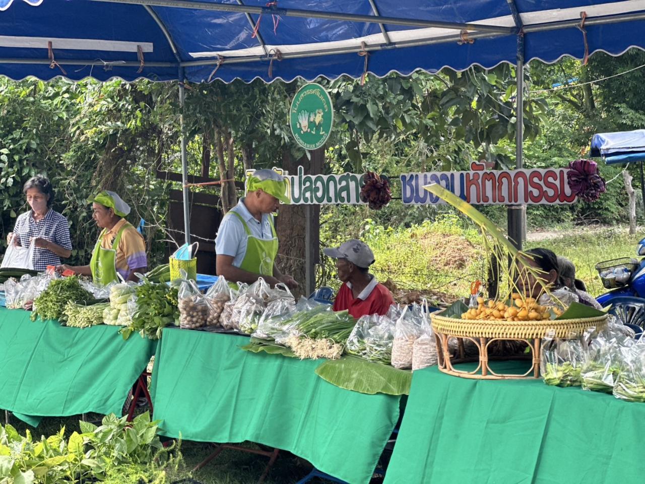 ภาพประกอบที่ 2