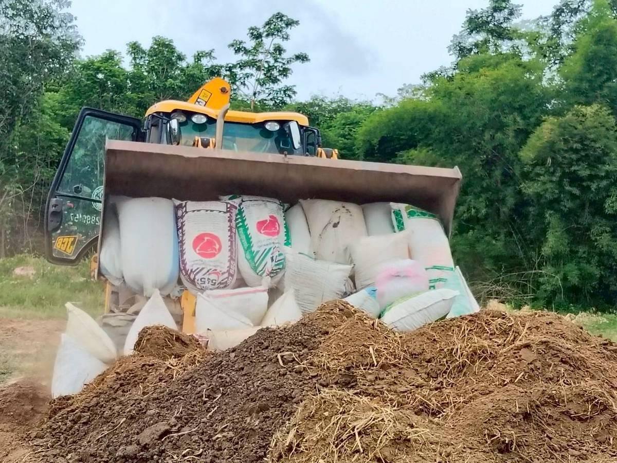 ภาพประกอบที่ 8