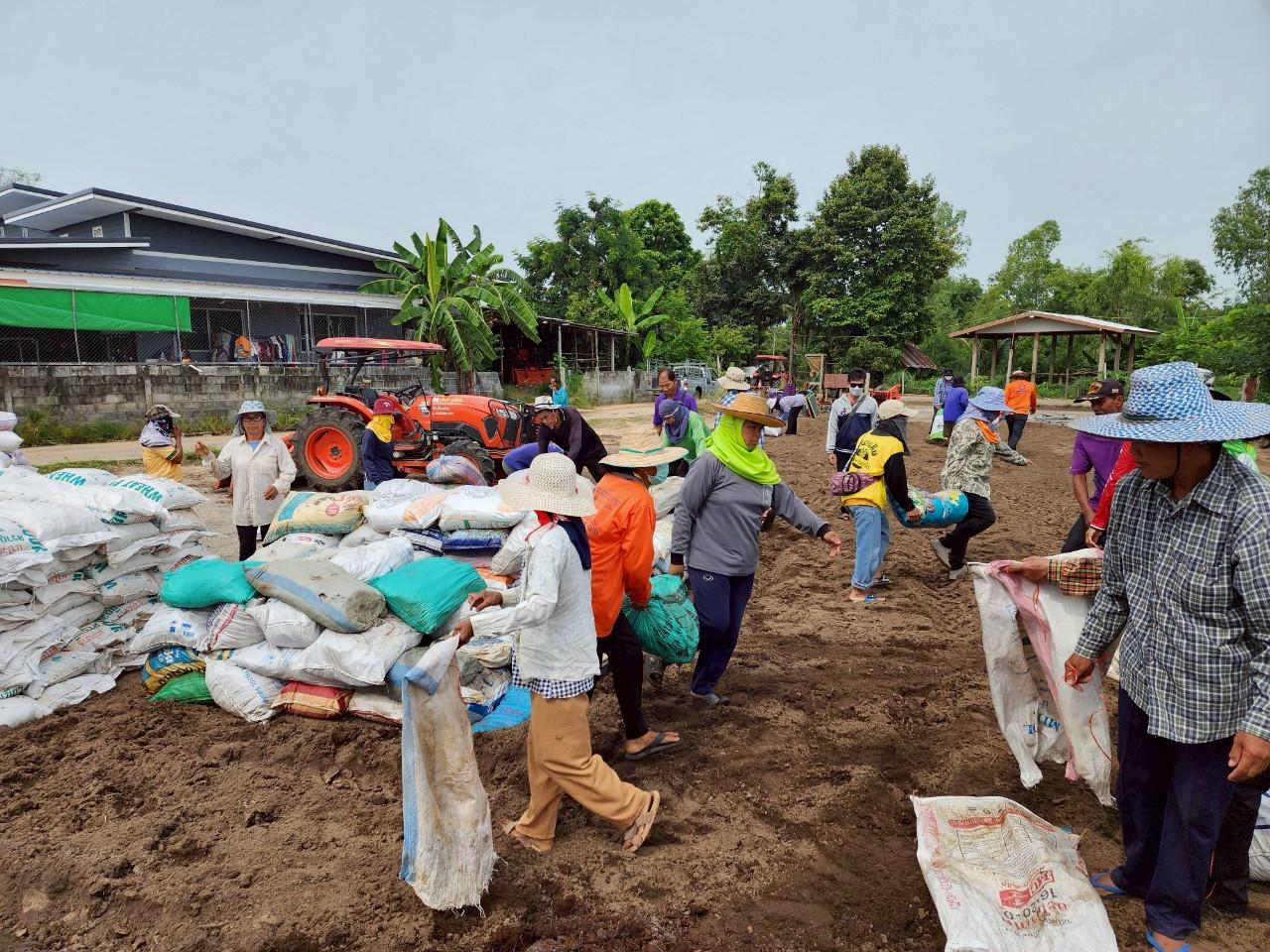 ภาพประกอบที่ 7