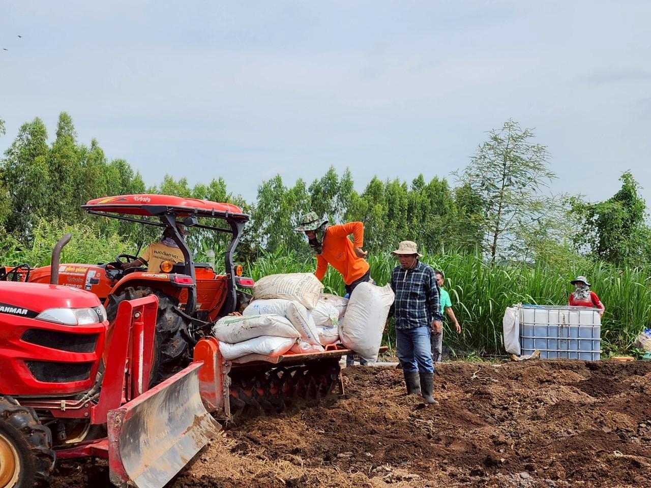 ภาพประกอบที่ 11