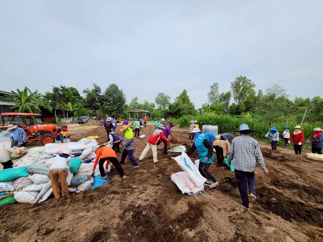ภาพประกอบที่ 20