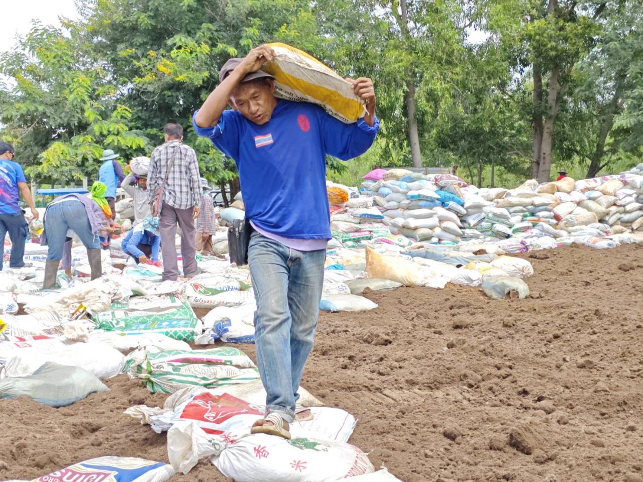 ภาพประกอบที่ 8