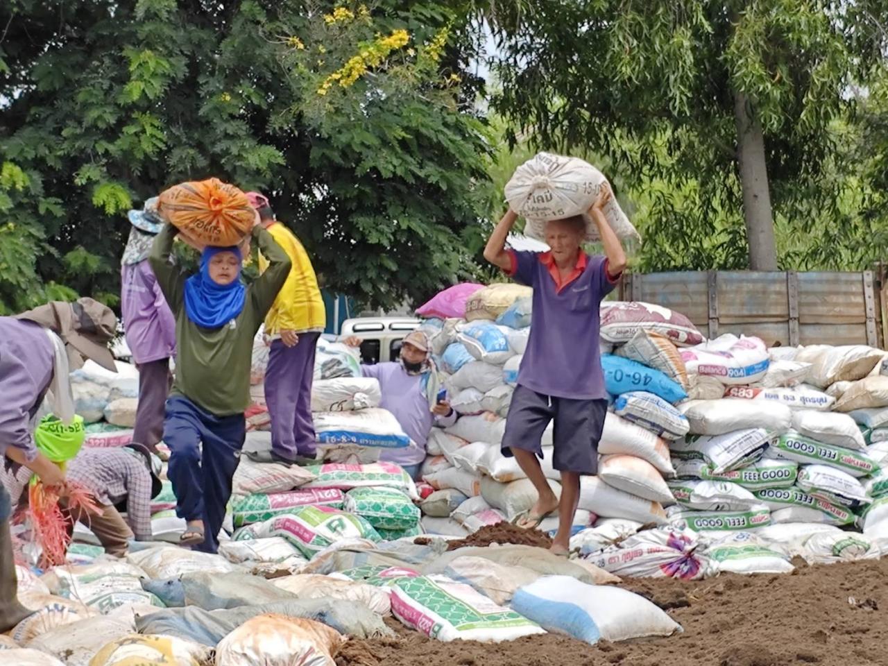 ภาพประกอบที่ 10