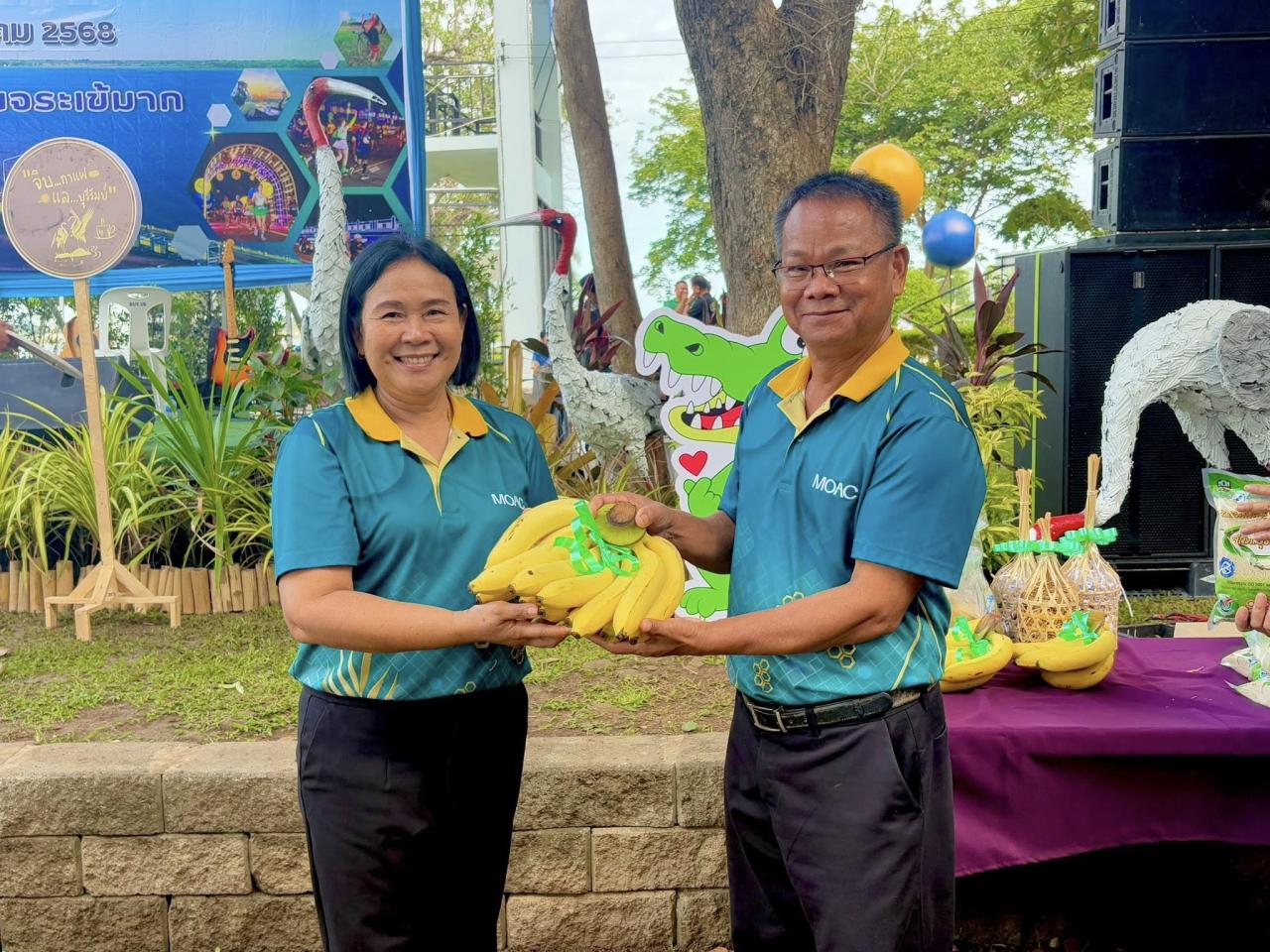 ภาพประกอบที่ 11