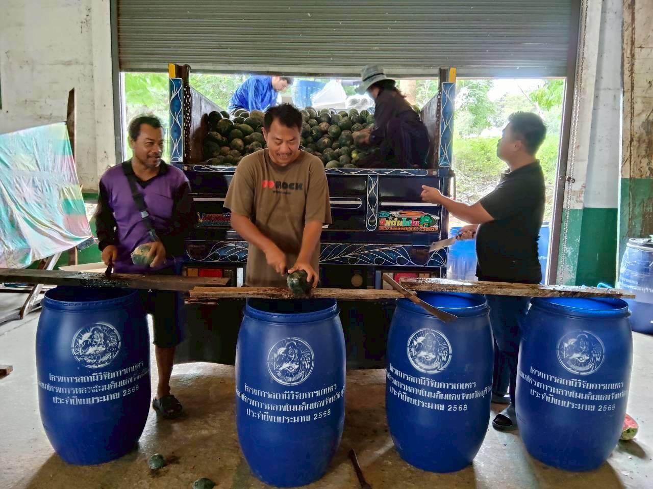 ภาพประกอบที่ 0