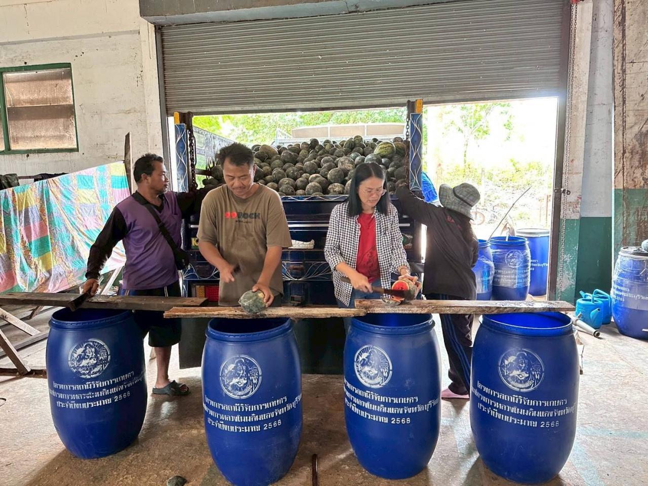 ภาพประกอบที่ 2