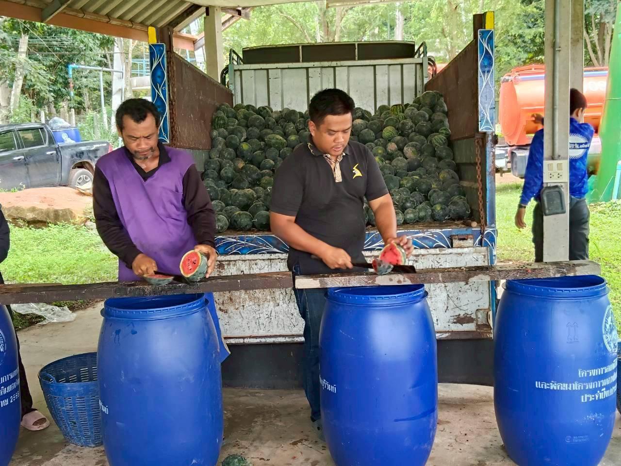 ภาพประกอบที่ 15