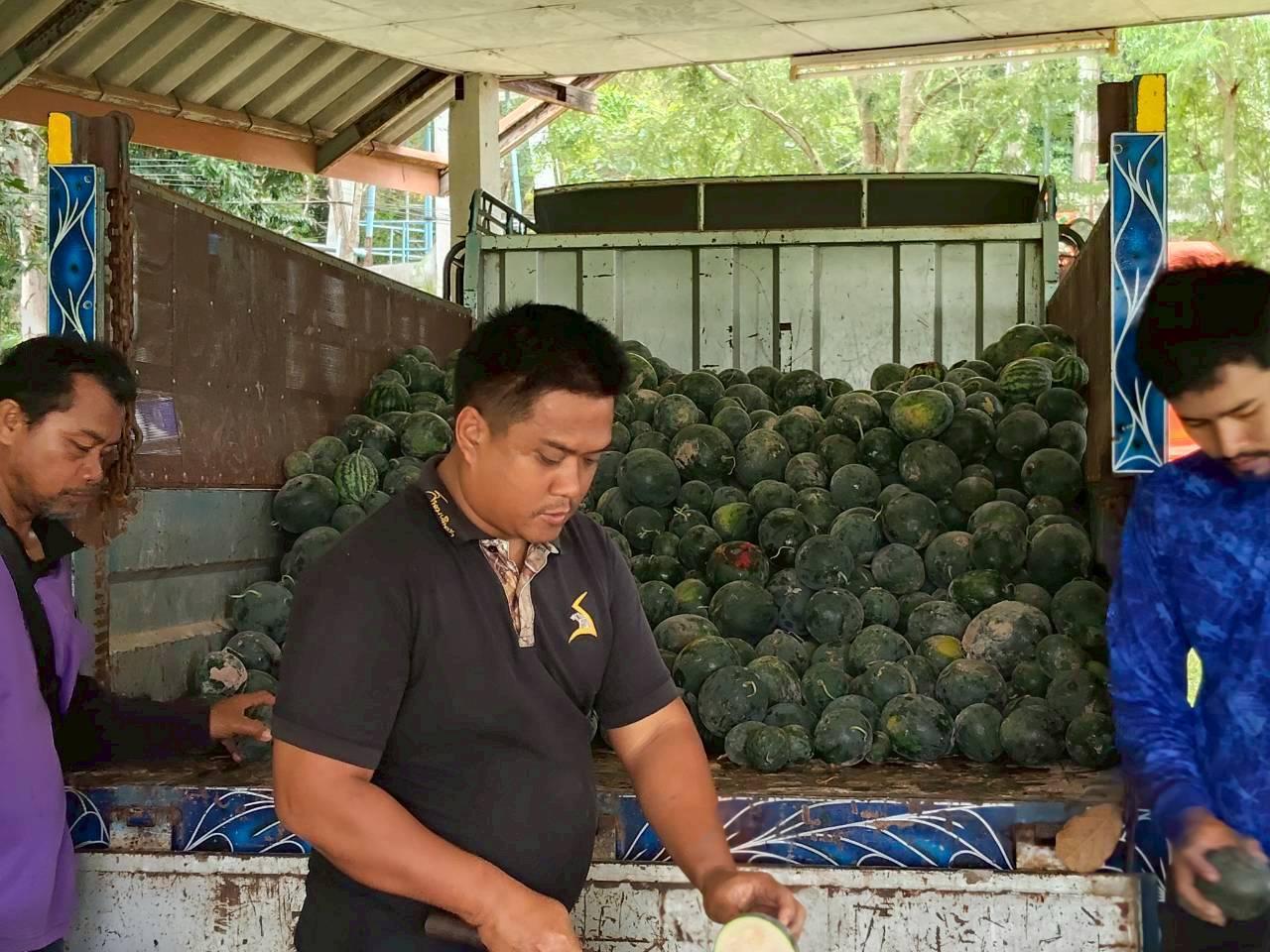 ภาพประกอบที่ 17