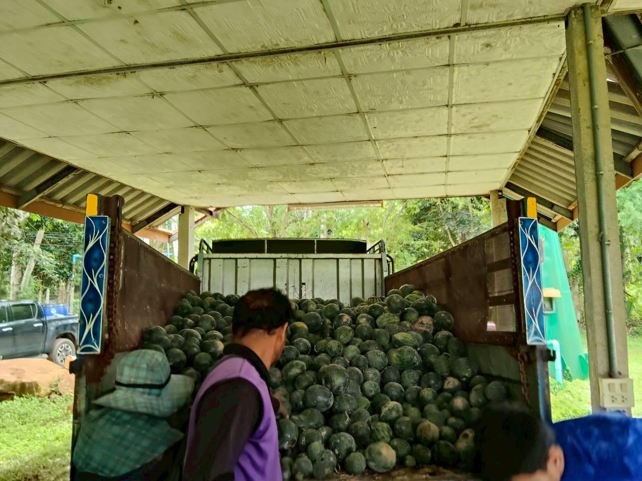 ภาพประกอบที่ 18