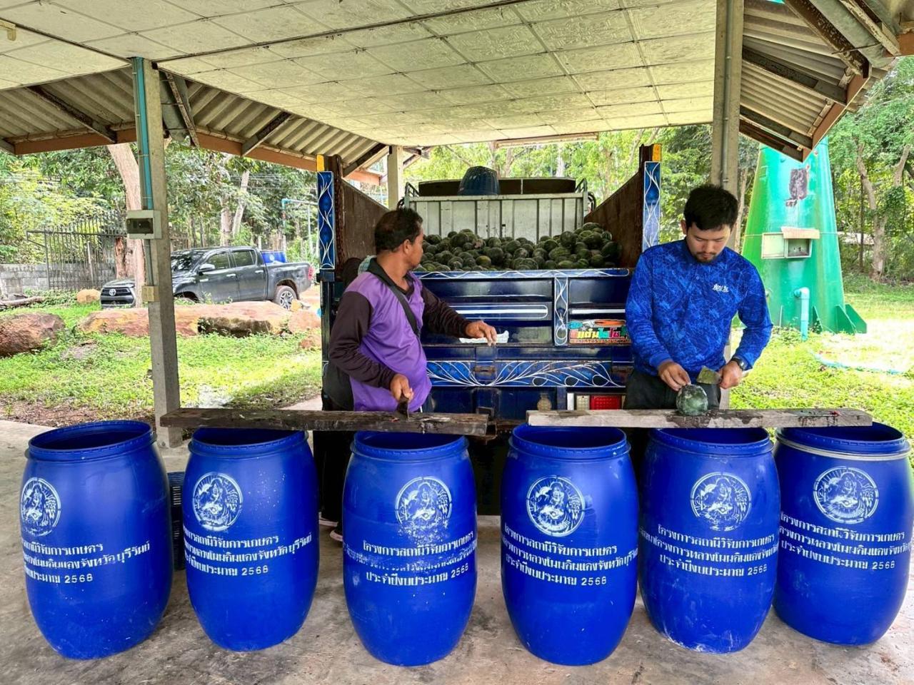 ภาพประกอบที่ 19