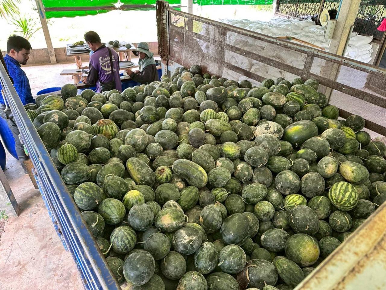 ภาพประกอบที่ 20