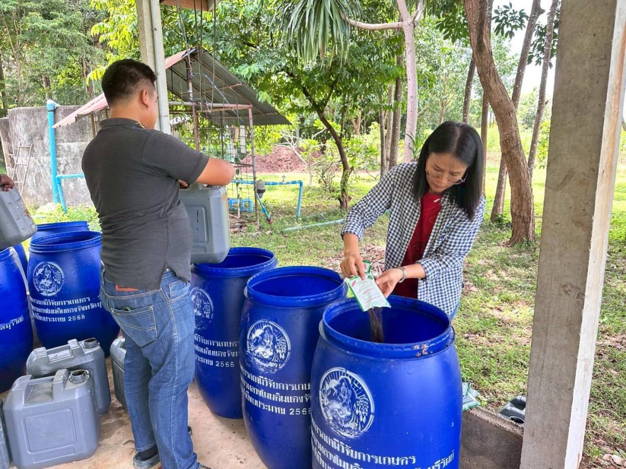 ภาพประกอบที่ 24