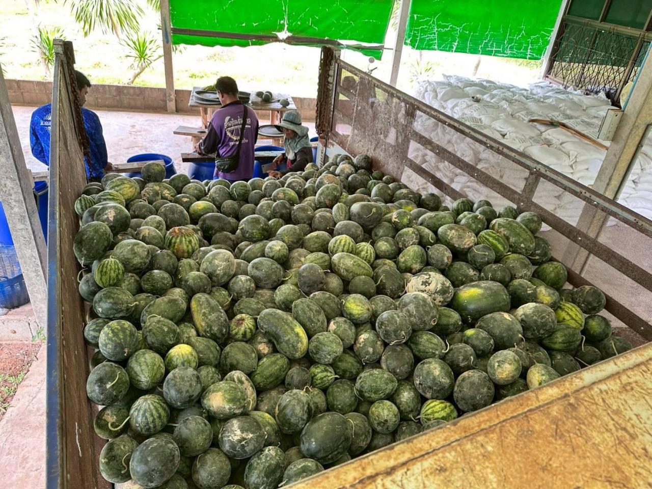 ภาพประกอบที่ 30