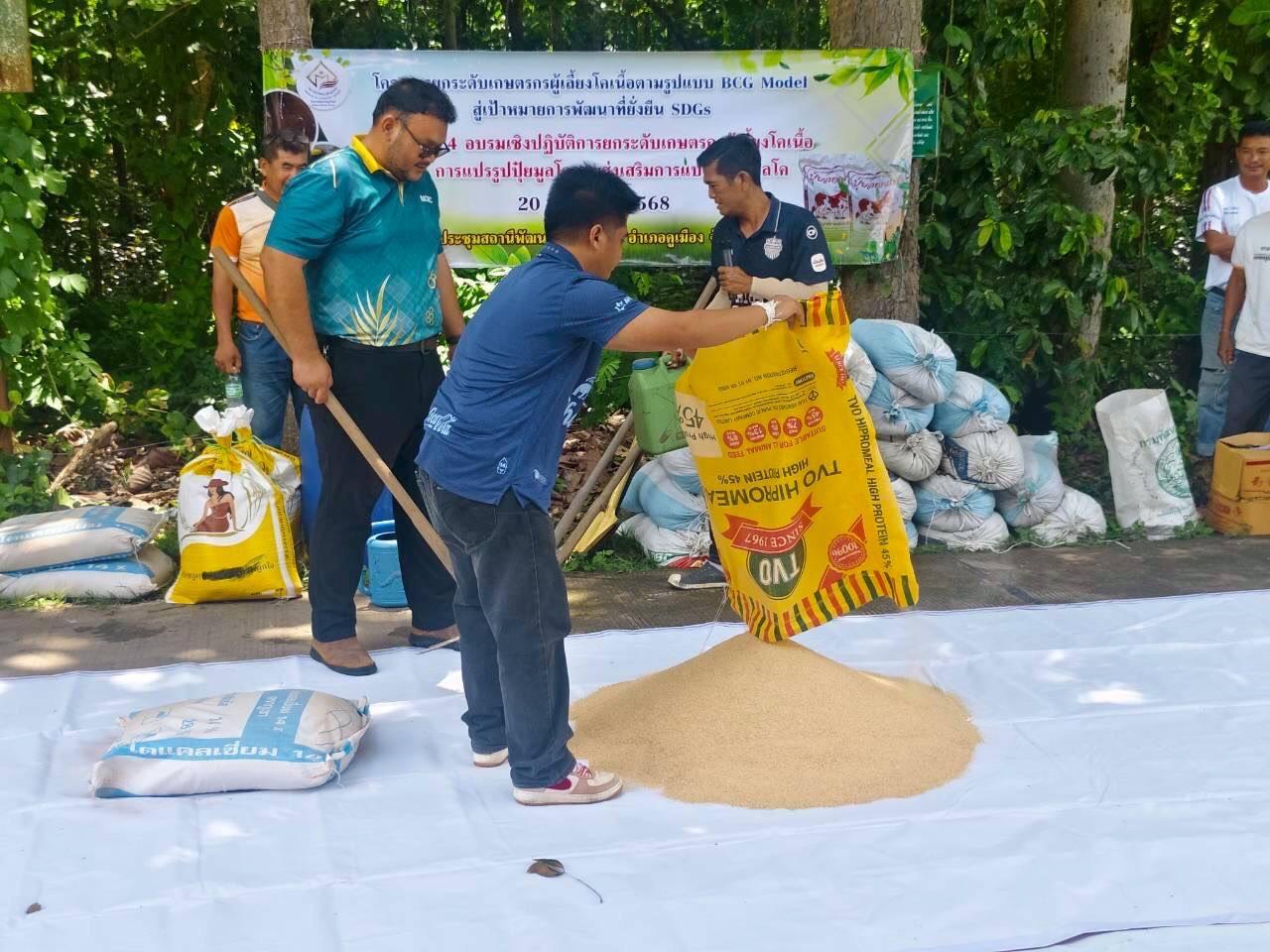 ภาพประกอบที่ 11