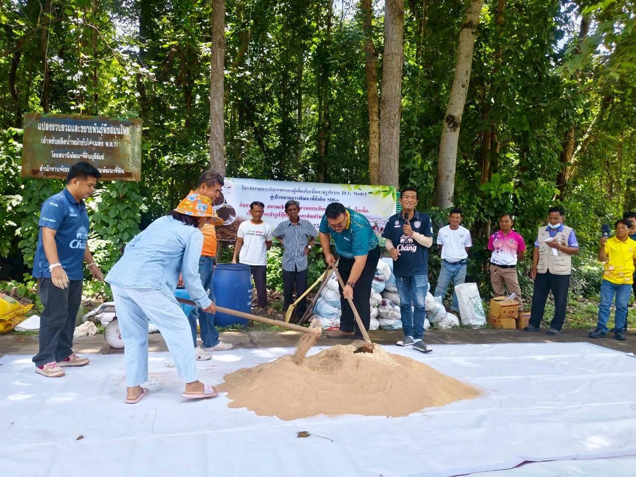 ภาพประกอบที่ 12