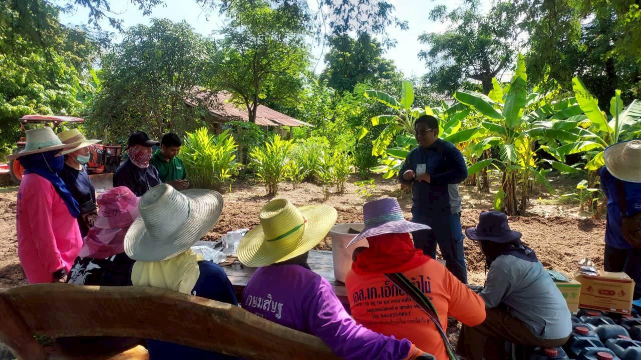 ภาพประกอบที่ 7