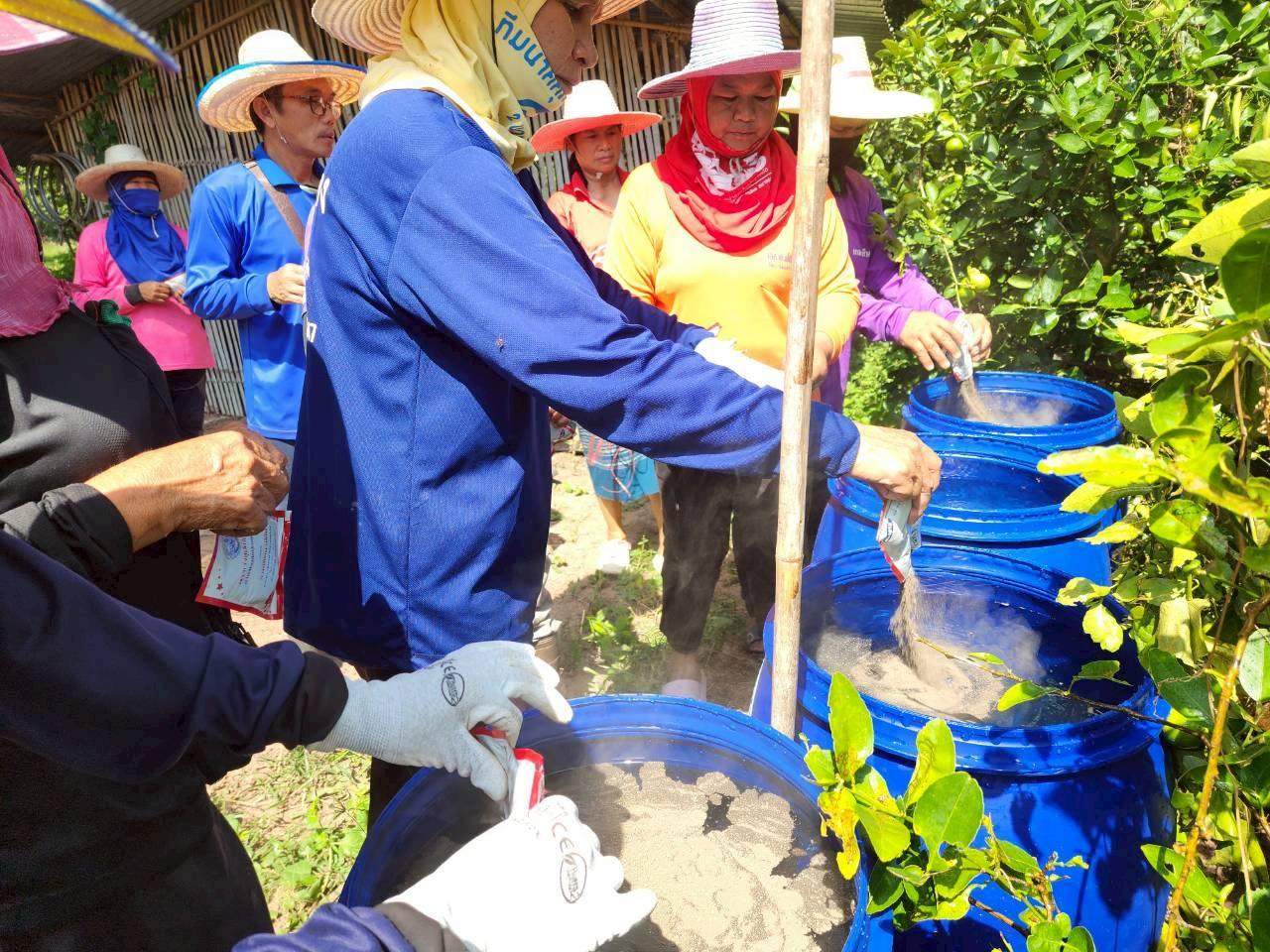 ภาพประกอบที่ 11