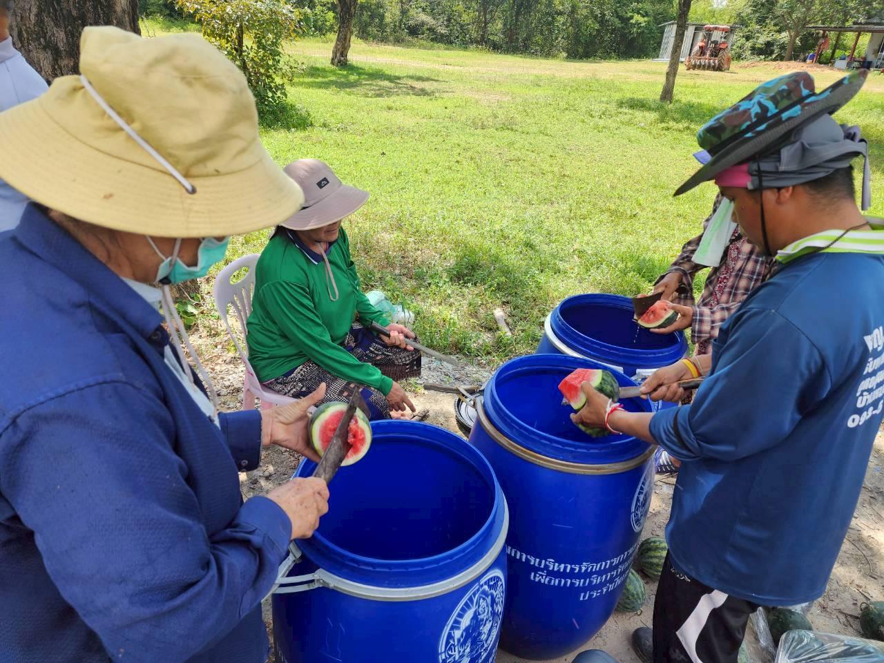 ภาพประกอบที่ 14