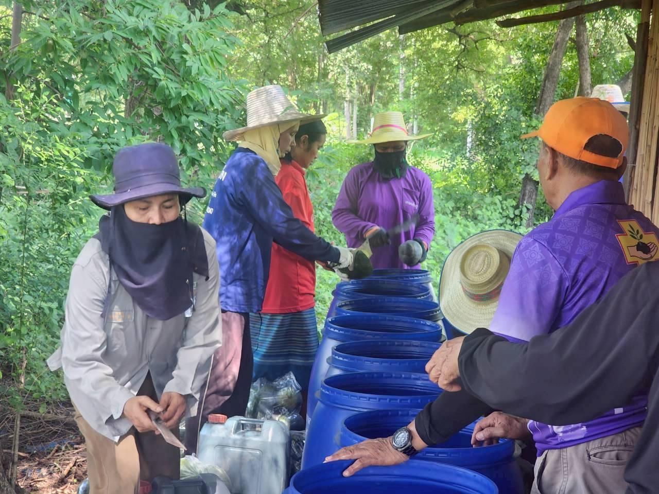 ภาพประกอบที่ 19