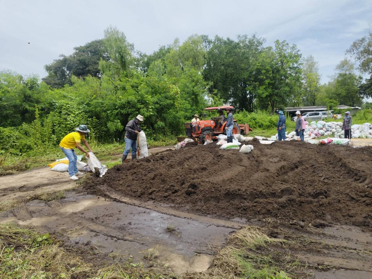 ภาพประกอบที่ 1