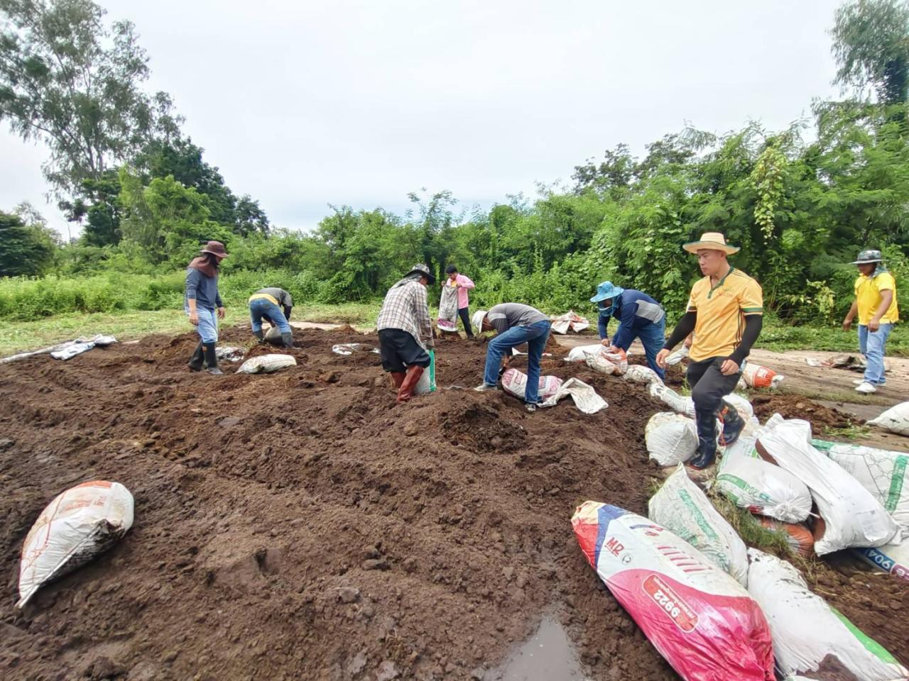ภาพประกอบที่ 4