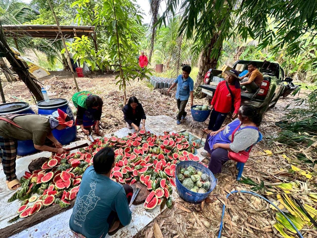 ภาพประกอบที่ 0