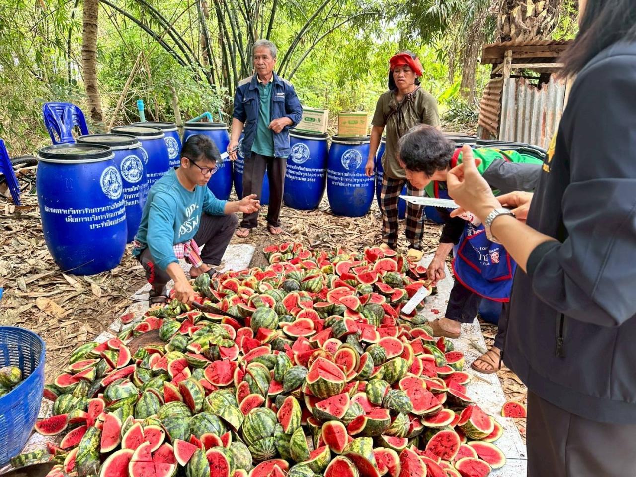ภาพประกอบที่ 1