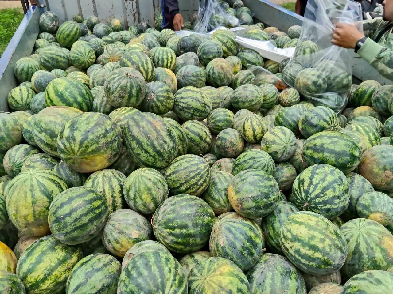 ภาพประกอบที่ 13