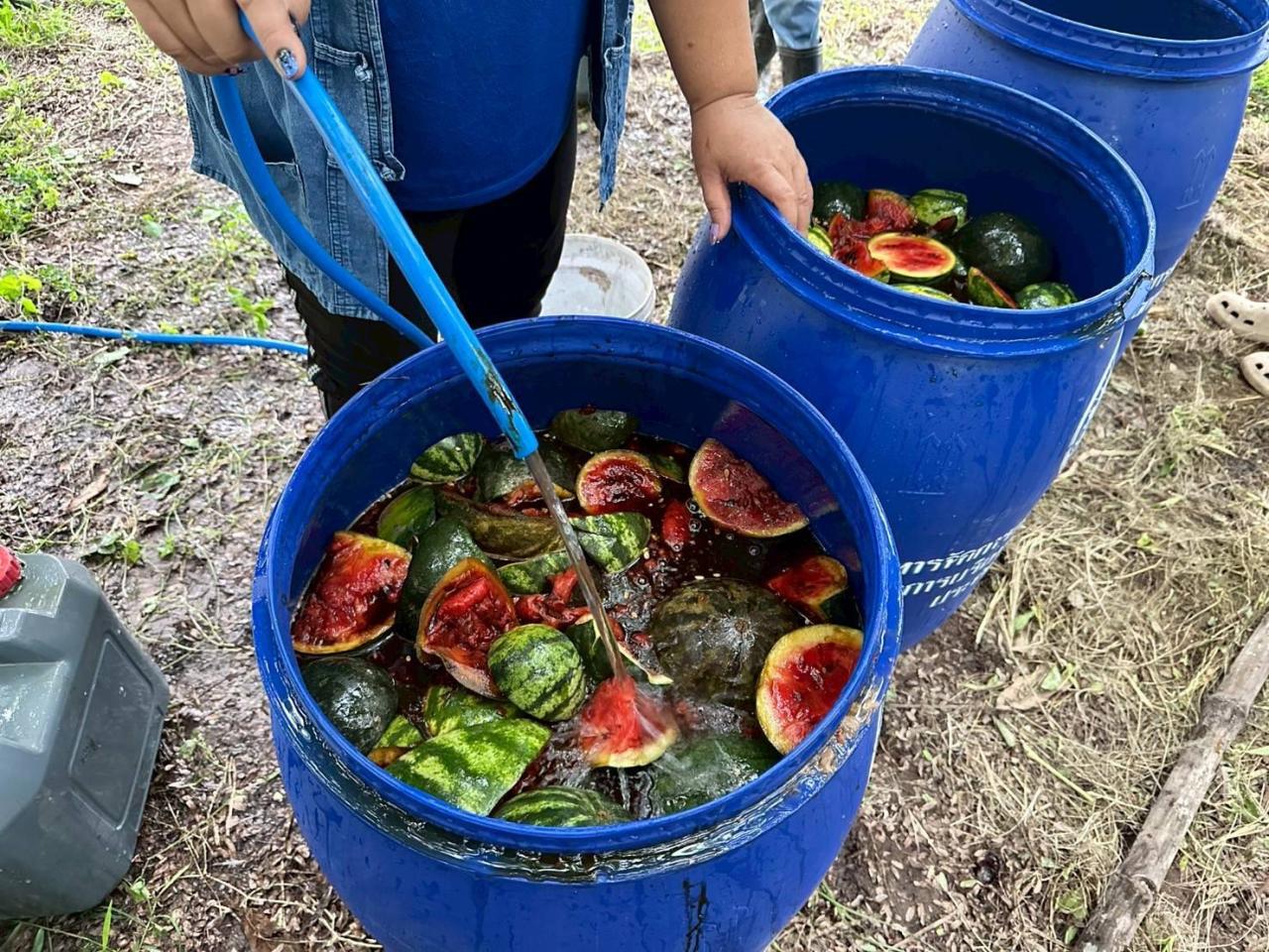 ภาพประกอบที่ 19