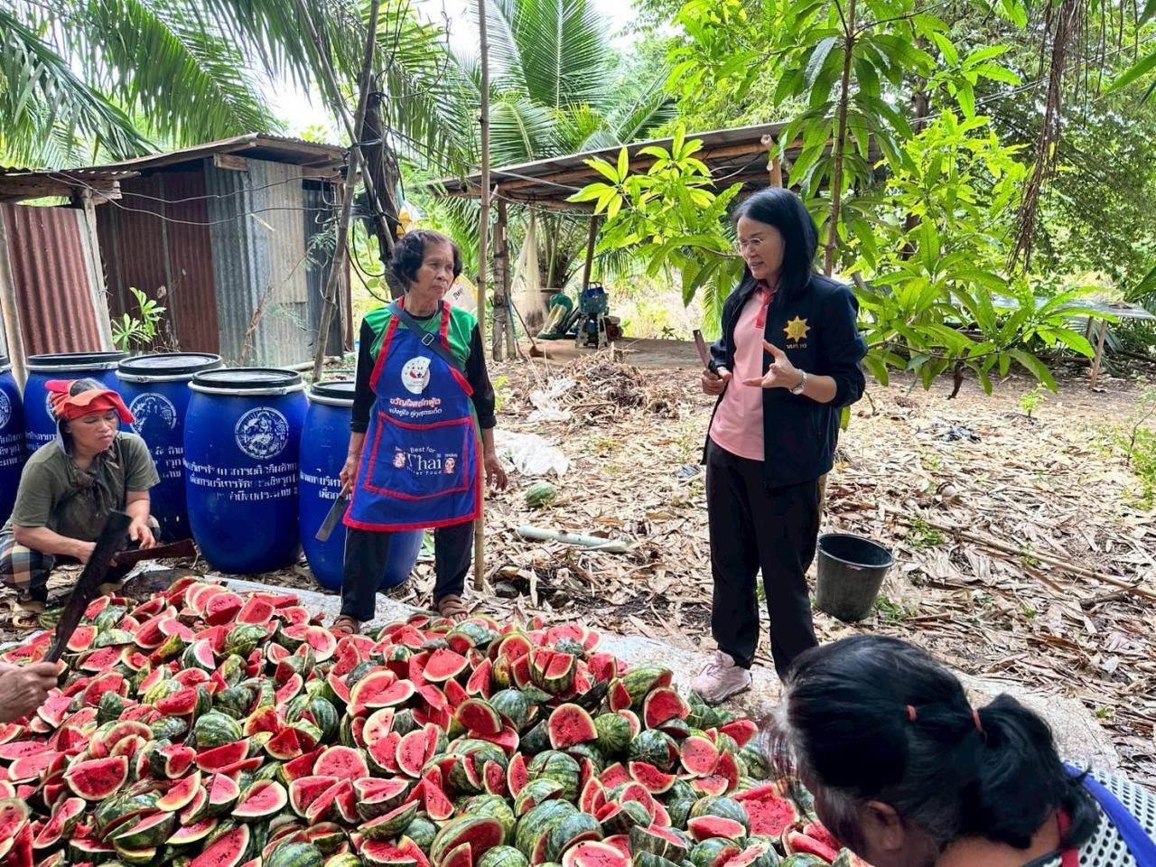 ภาพประกอบที่ 20