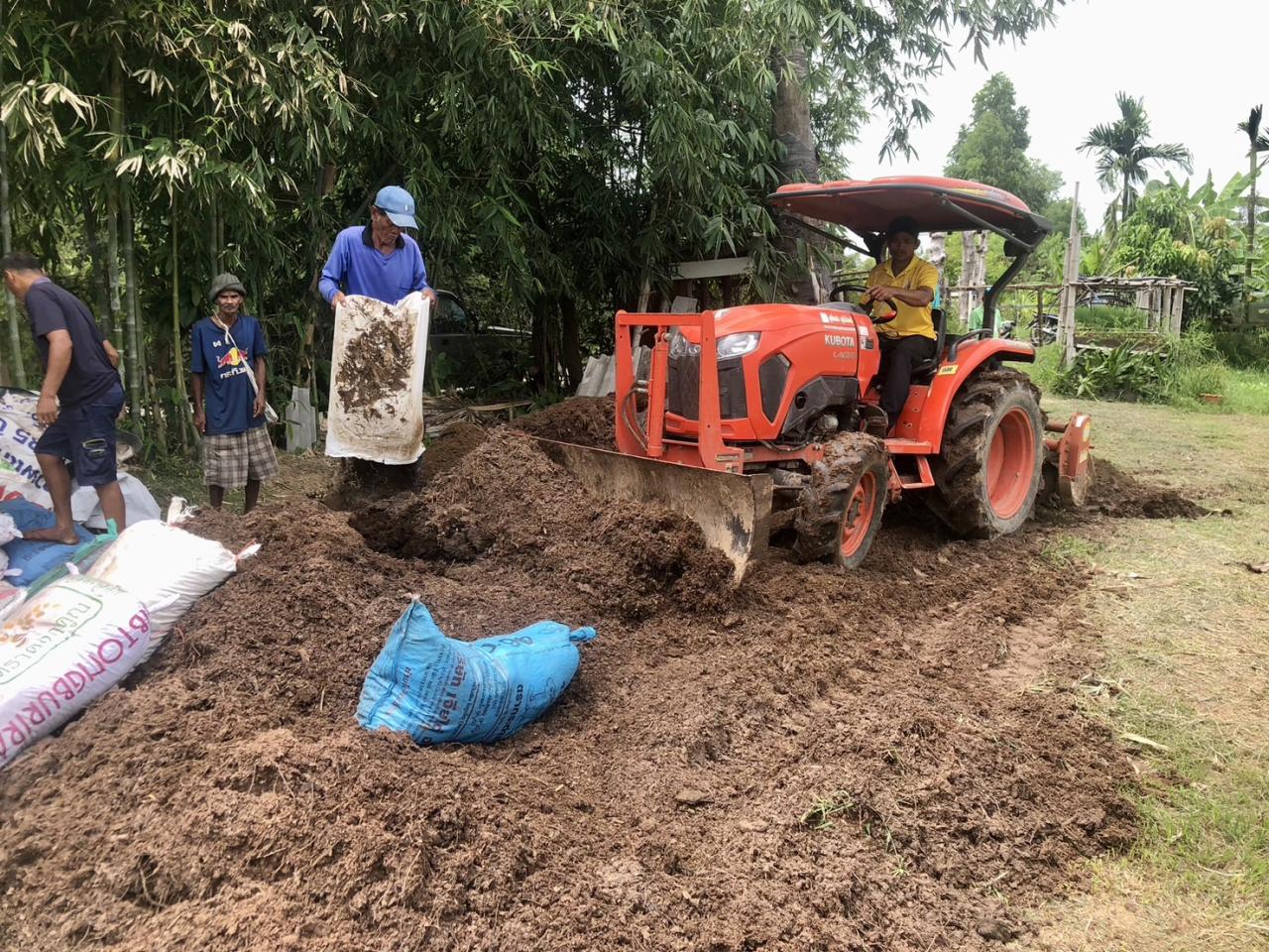 ภาพประกอบที่ 13