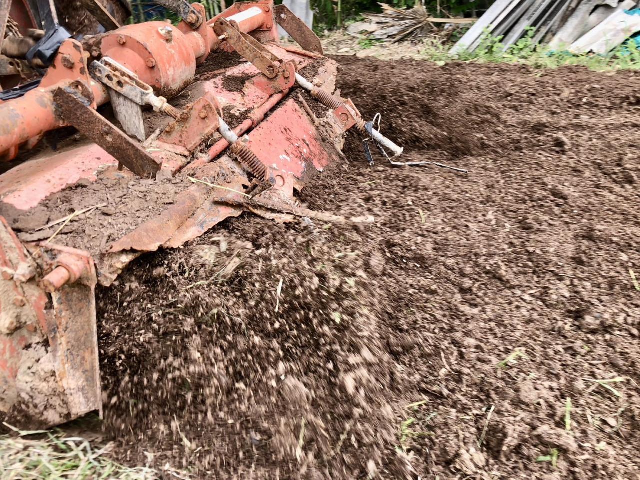 ภาพประกอบที่ 19