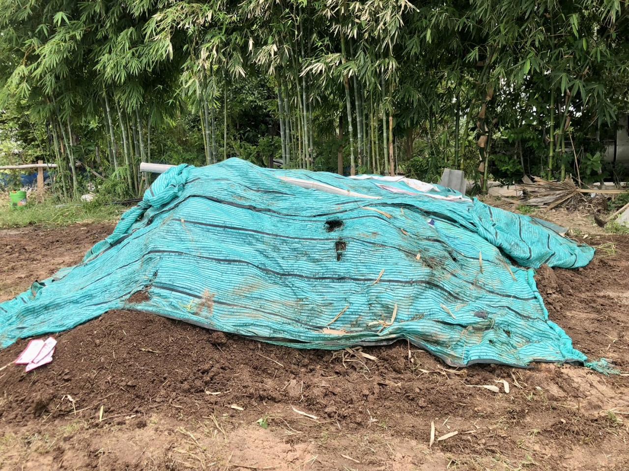 ภาพประกอบที่ 20