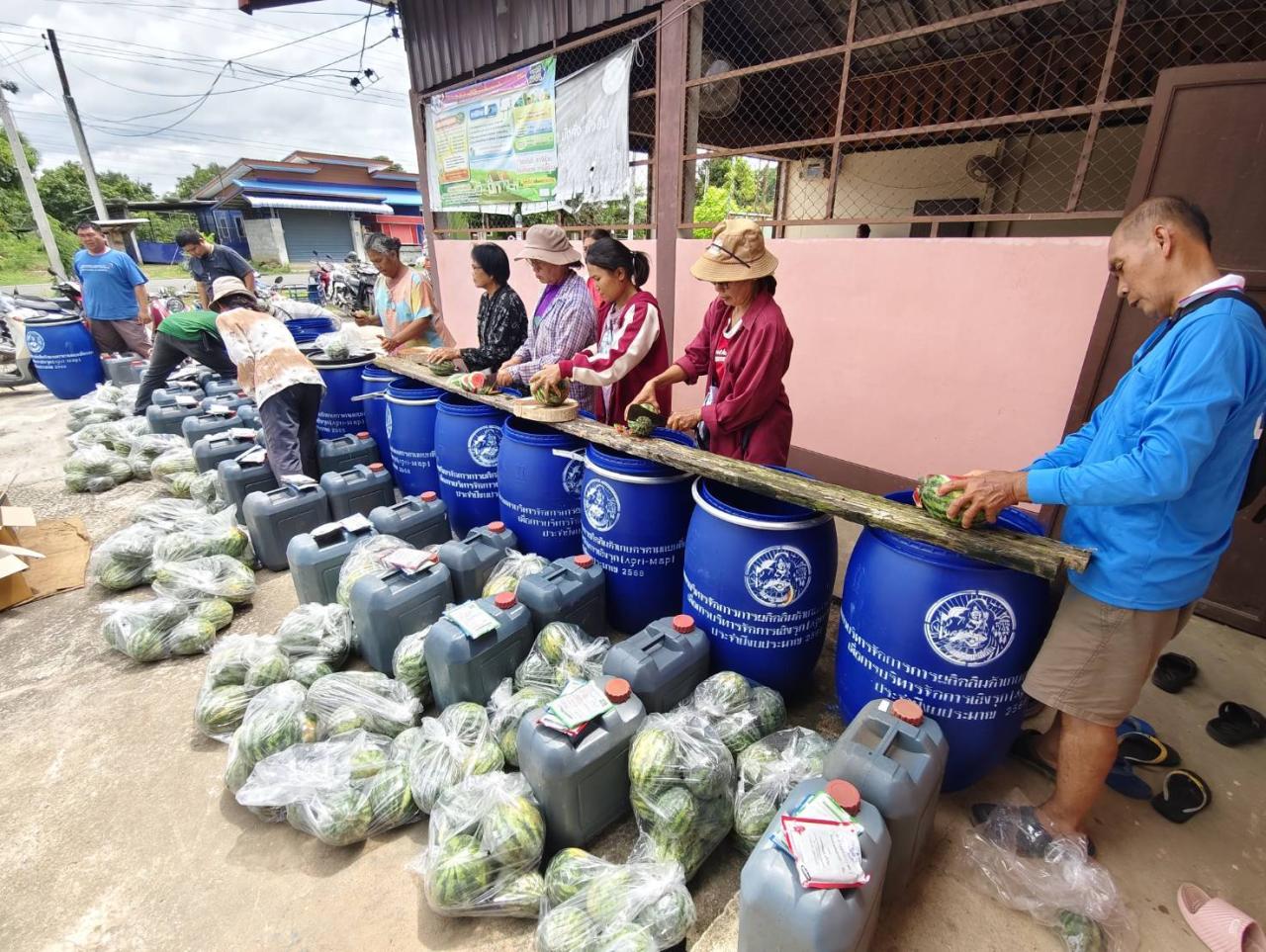 ภาพประกอบที่ 1