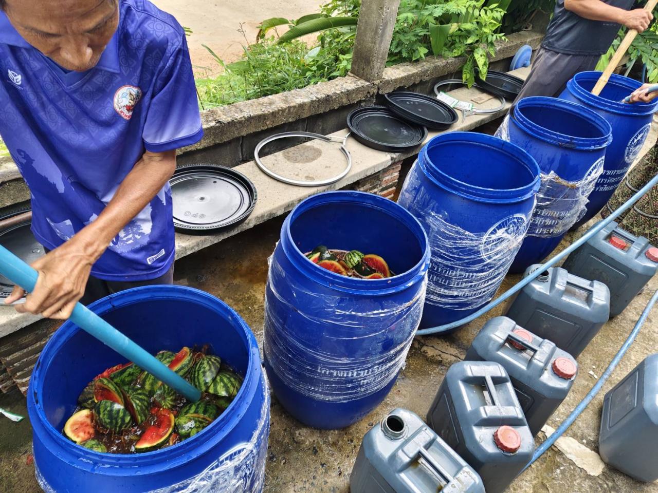 ภาพประกอบที่ 10