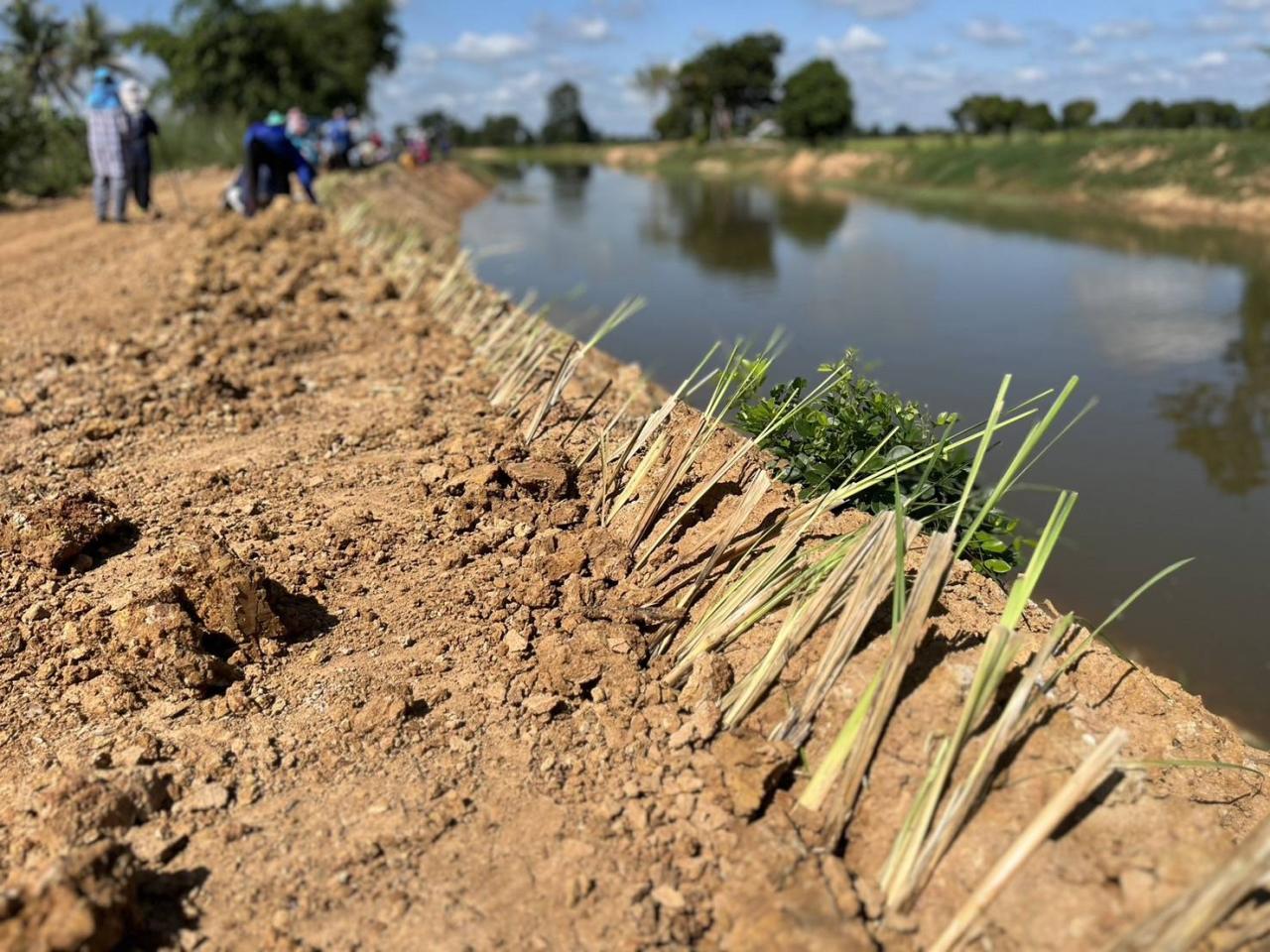 ภาพประกอบที่ 6