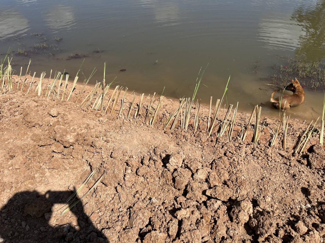 ภาพประกอบที่ 7