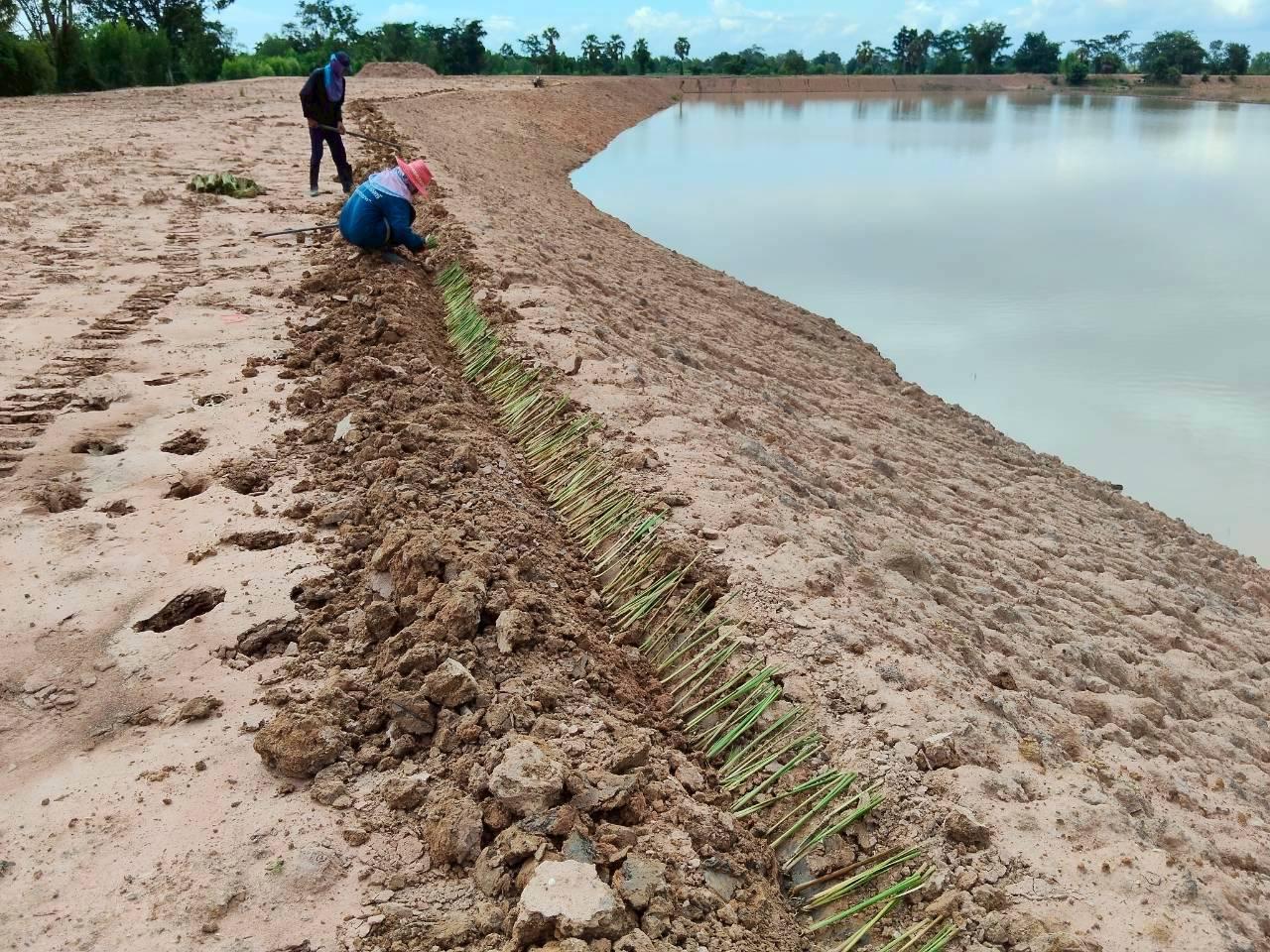 ภาพประกอบที่ 0