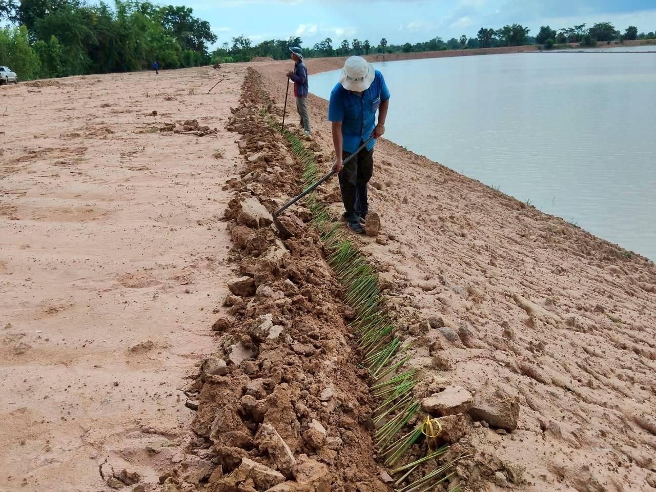 ภาพประกอบที่ 2