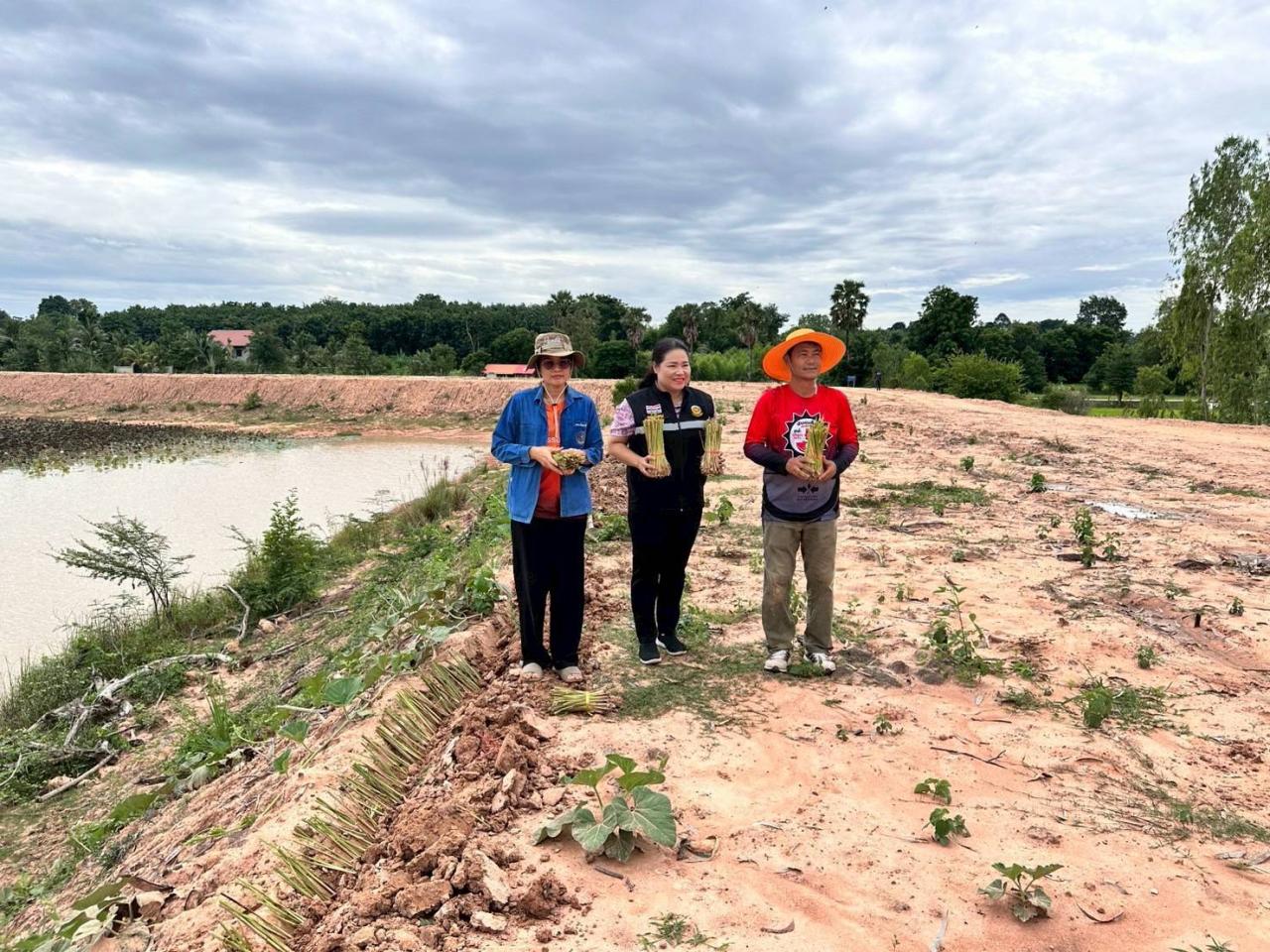 ภาพประกอบที่ 3