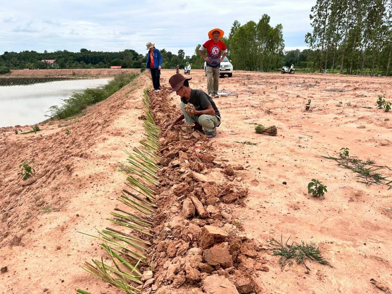 ภาพประกอบที่ 8